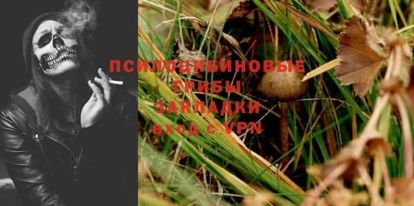 apvp Алзамай